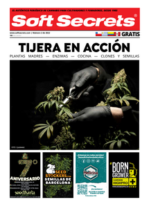 Soft Secrets LATAM 0222