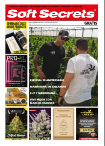 Soft Secrets Spanish 22-06