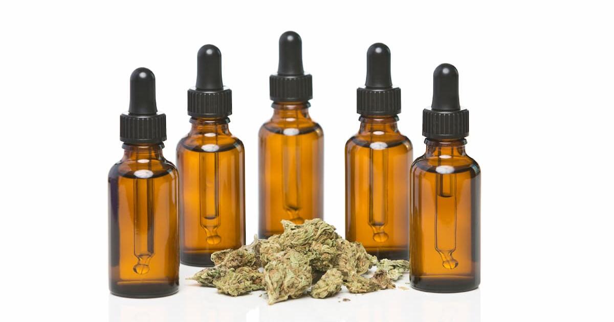 Spain's Medical Cannabis Decree: The Gap Between Legal Recognition and Patient Access
