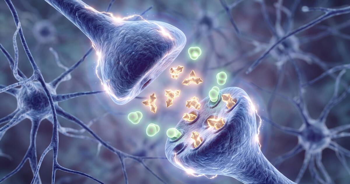 Nueva investigación cuestiona creencia popular: el CBD podría no reducir los efectos psicoactivos del THC