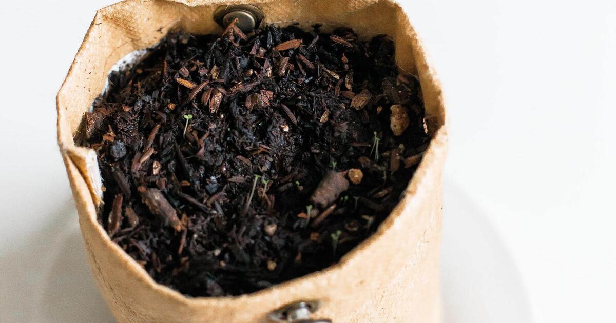 Use Compost Tea To Nourish Your Cannabis Plants - RQS Blog