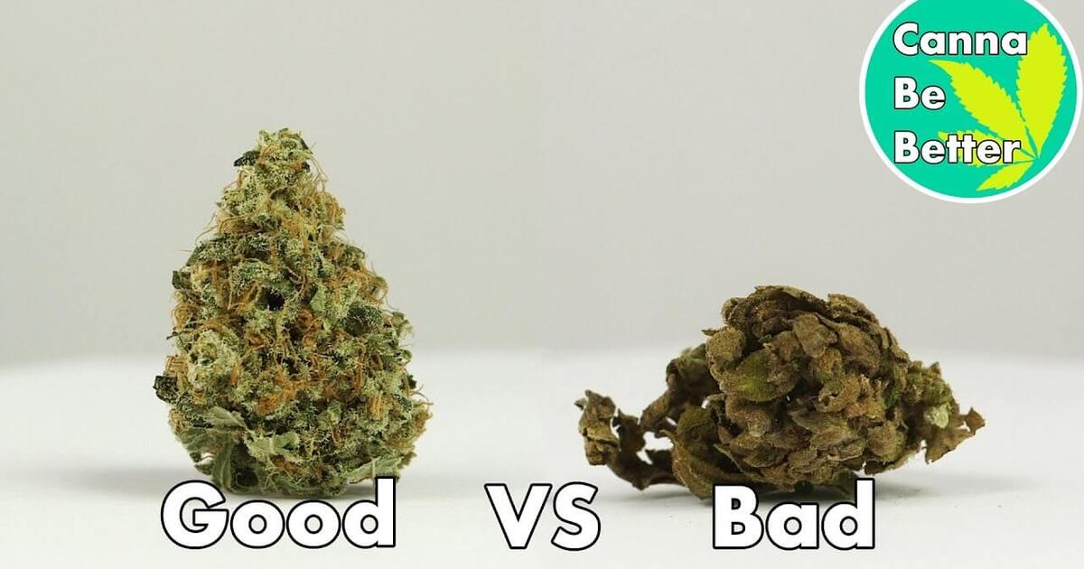 What does good weed look like?