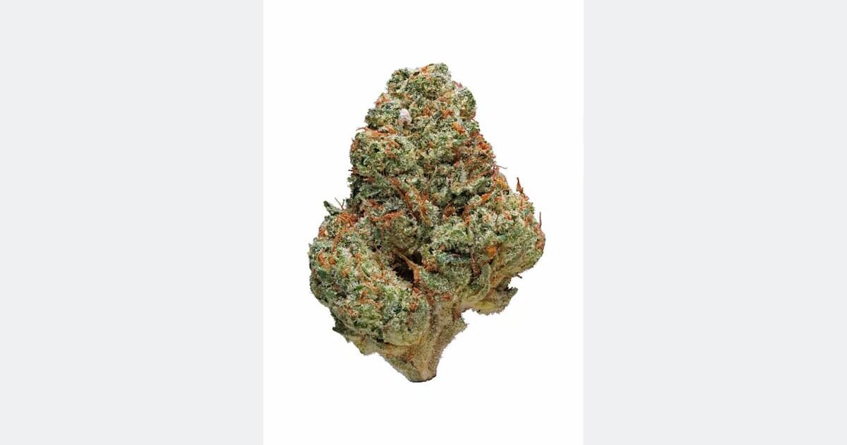 Permanent Marker by Advanced Seeds: Indoor Cultivation and Potency Analysis